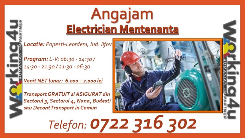 Electrician mentenanta