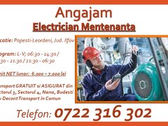 Electrician mentenanta
